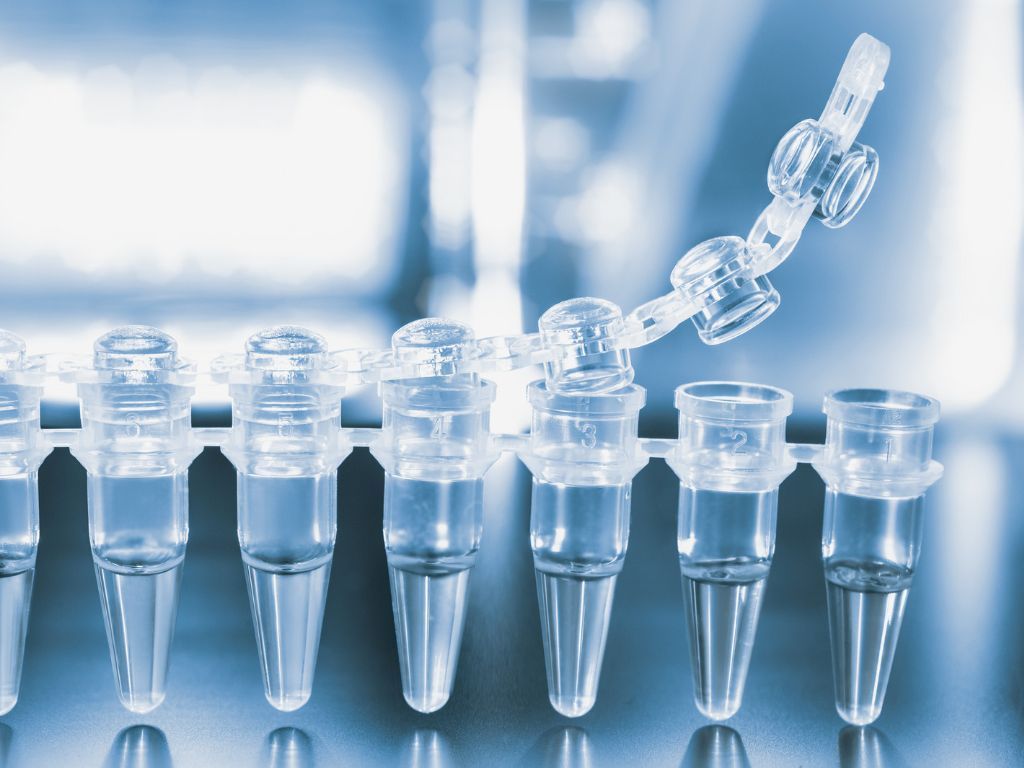 A row of test tubes filled with liquid in a laboratory.