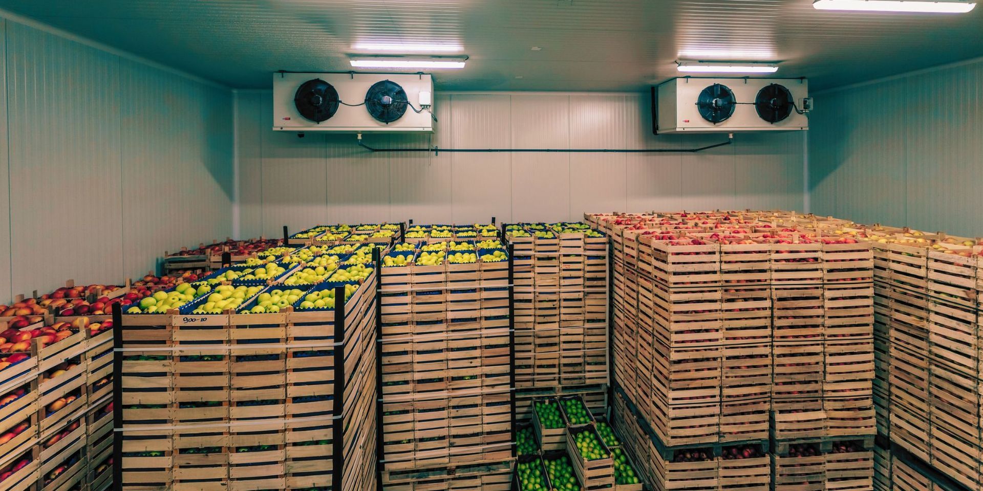 Food stored and monitored throughout the cold chain