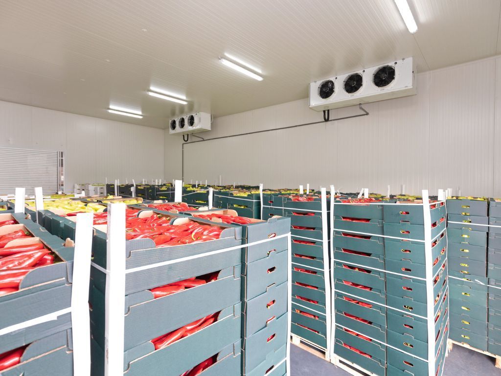 Temperature data loggers ensure perishable goods are stored under optimal conditions