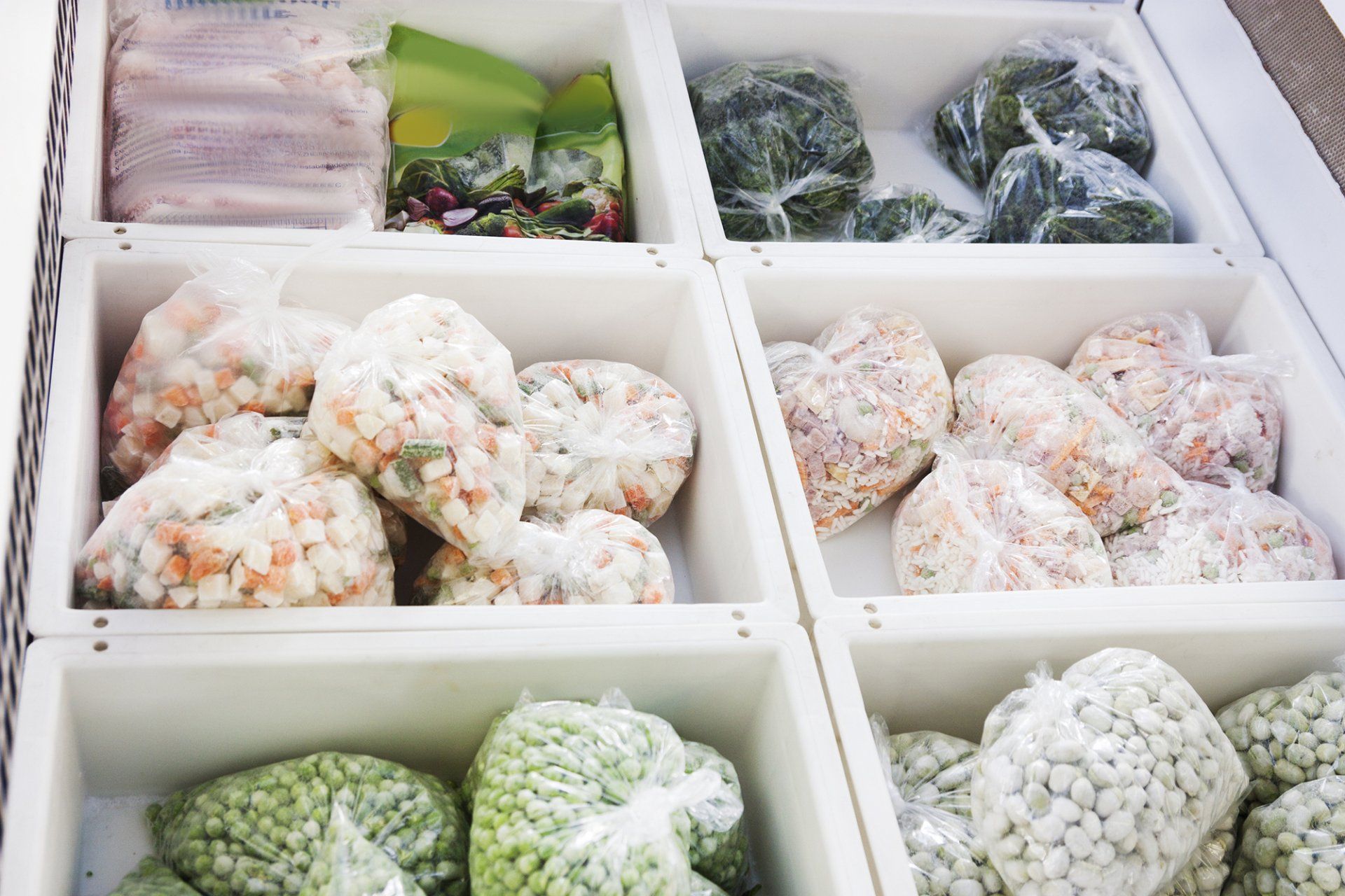 storage boxes with frozen vegetables in bags