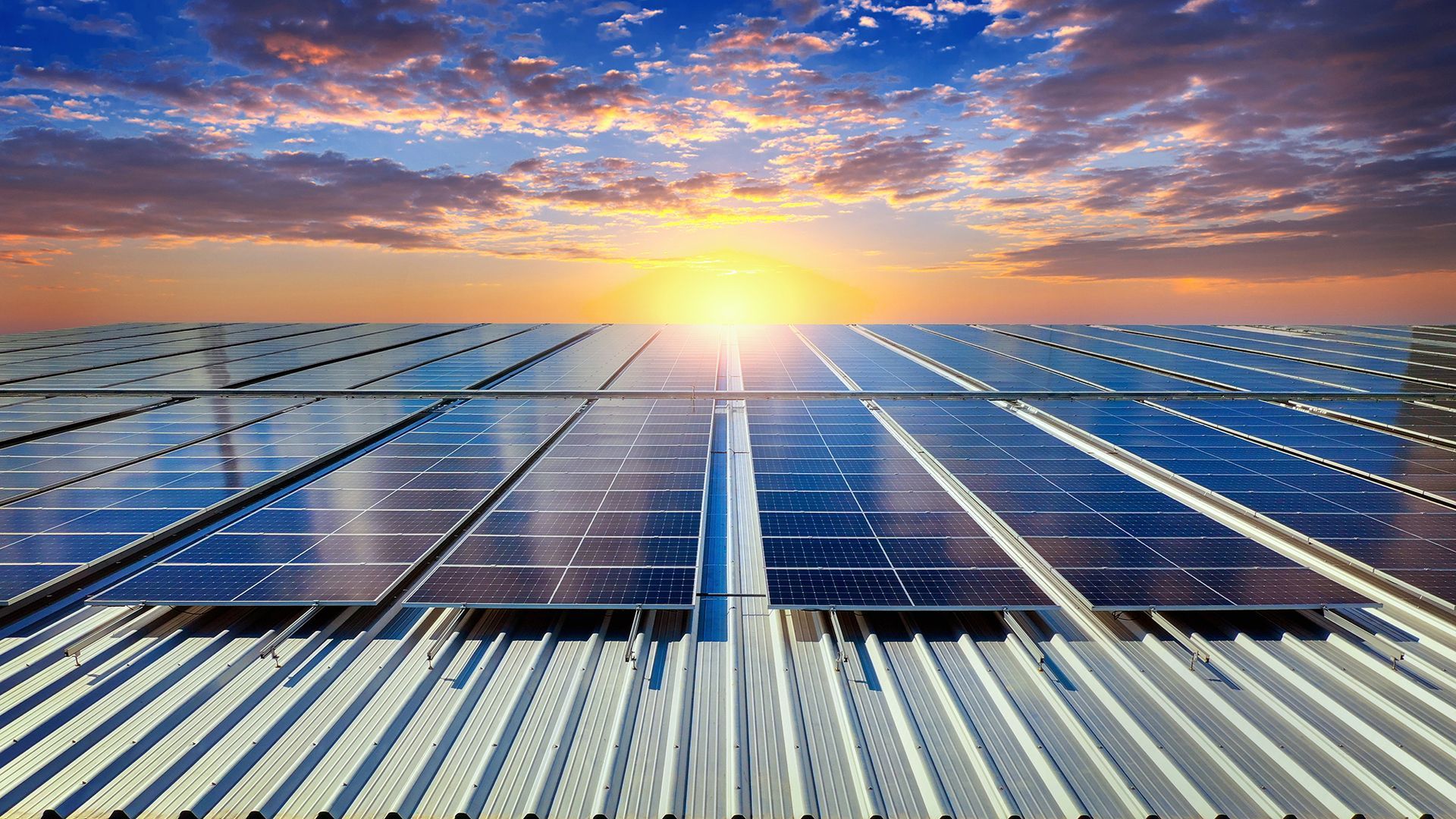 The adoption of renewable energy sources, such as solar and wind power, plays a pivotal role in making cold storage facilities more eco-friendly.