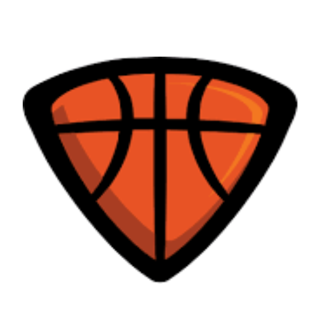A basketball in the shape of a shield on a white background