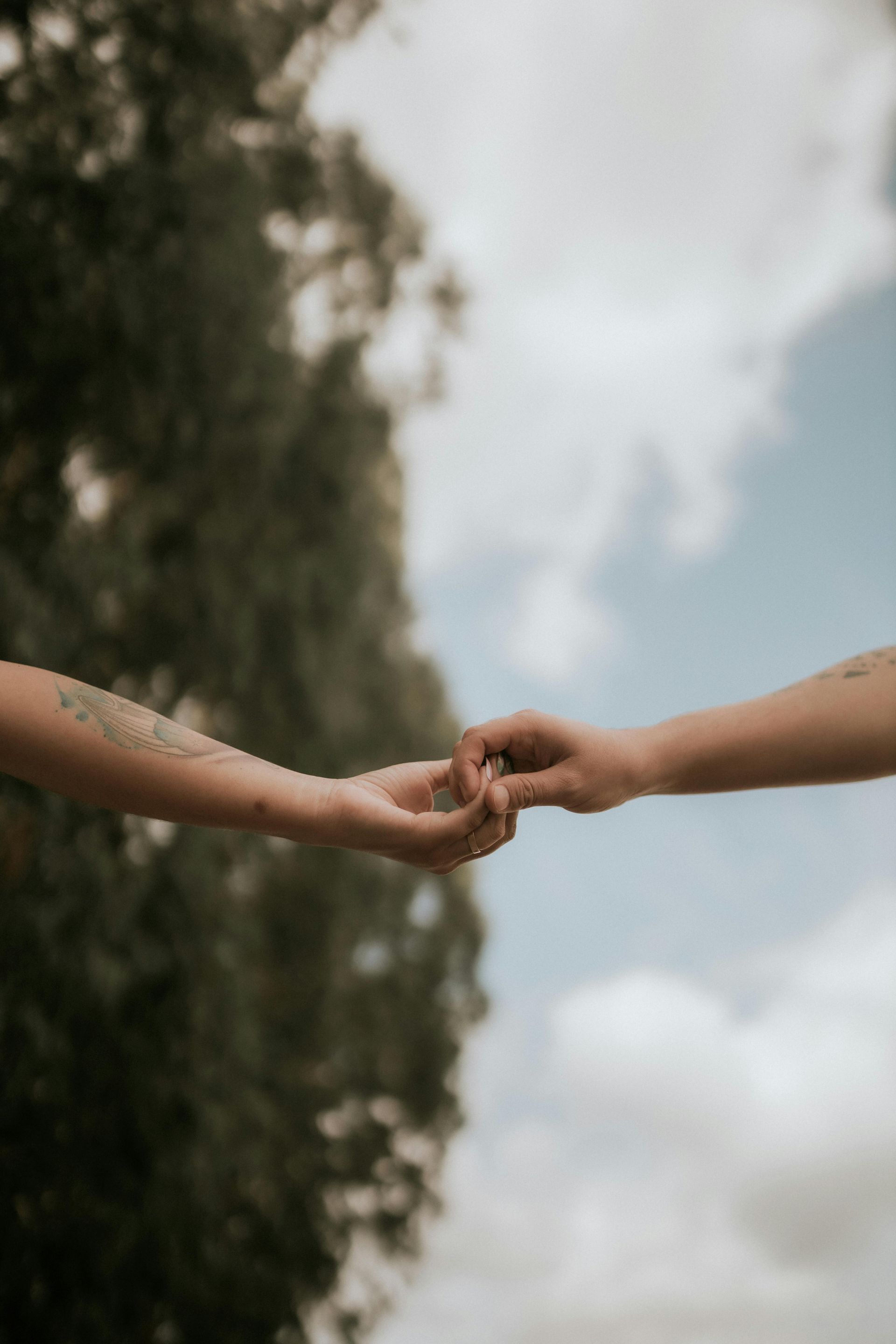 Two people are holding hands with trees in the background.