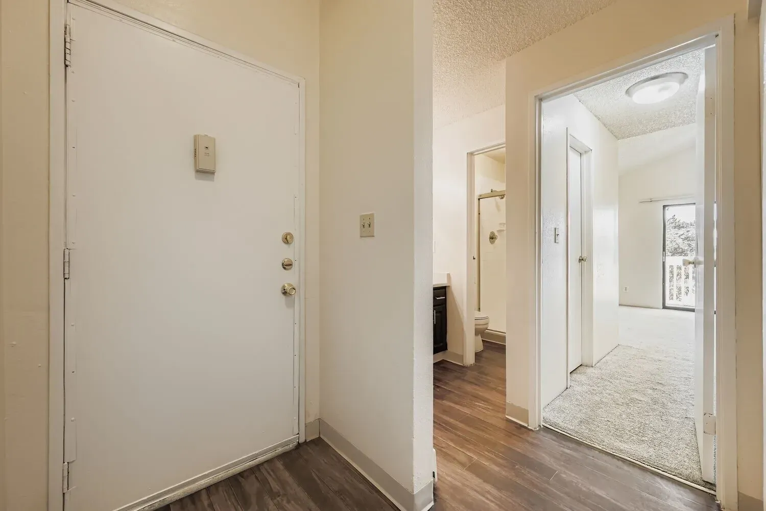 Interior view of an apartment hallway with a white door, view into a bathroom and living room.