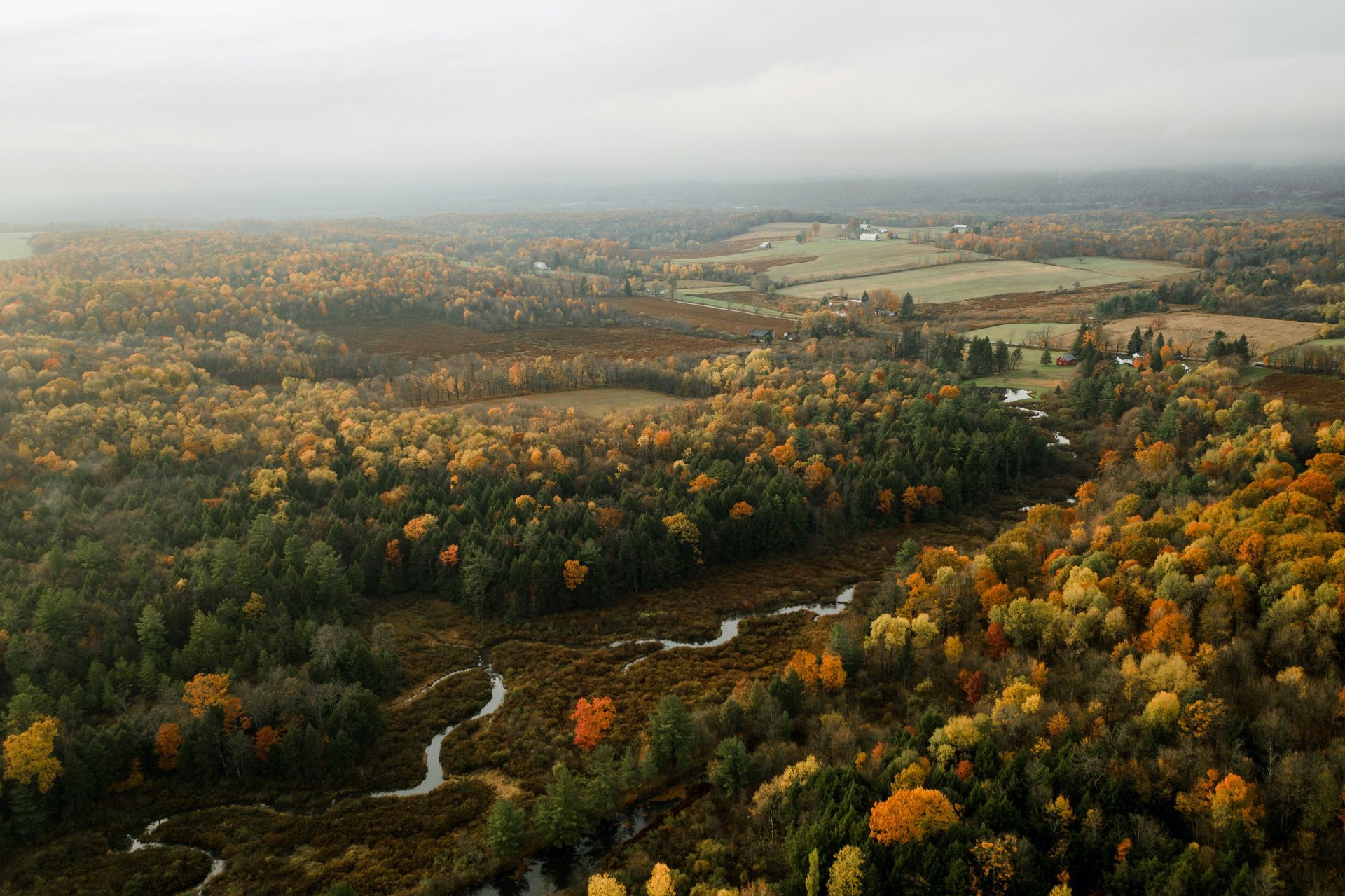 Autumnal aerial view of a forested landscape with a winding river and patches of golden foliage under a hazy sky.