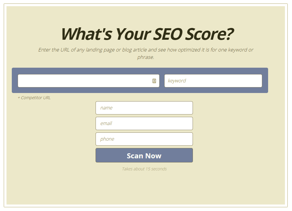 SEO_Score_Locallogy_Website_Audit
