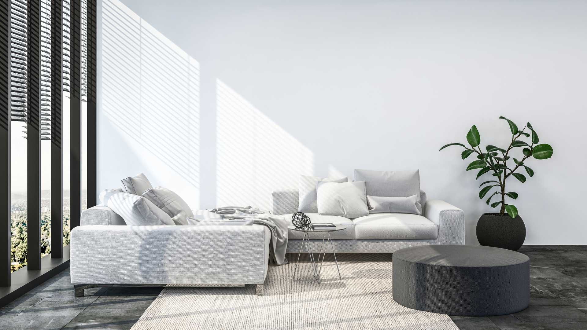 A modern, bright living room features a white sofa, a matching area rug, a dark round coffee table, and a potted plant.