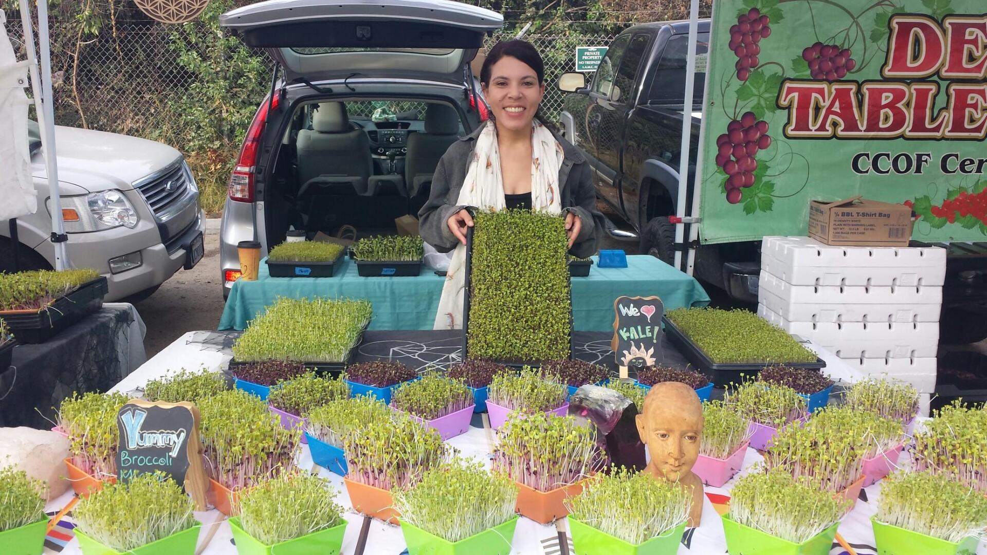 Woman at farmers market stand with various trays of microgreens.