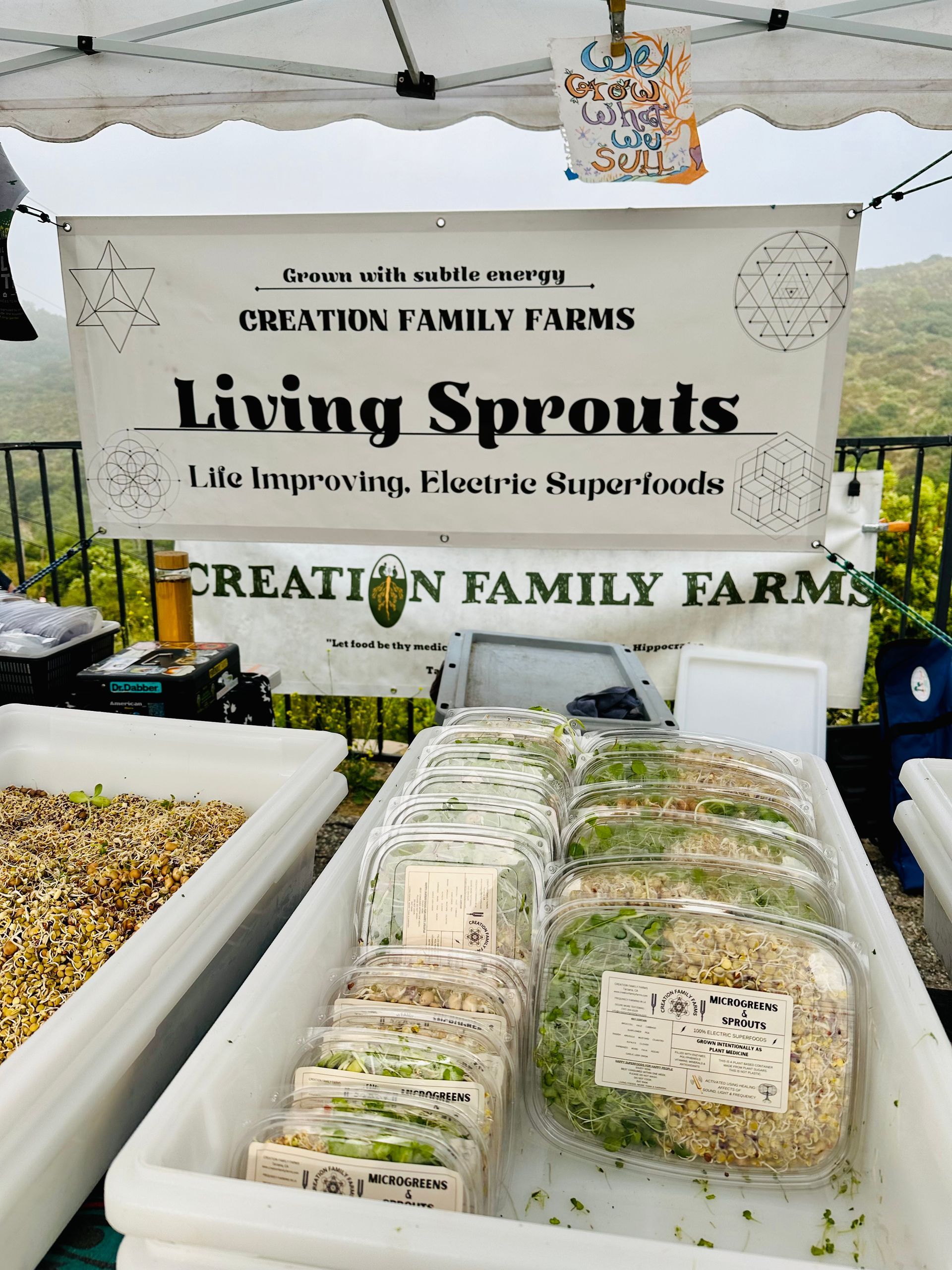 A farmer's market stall sells