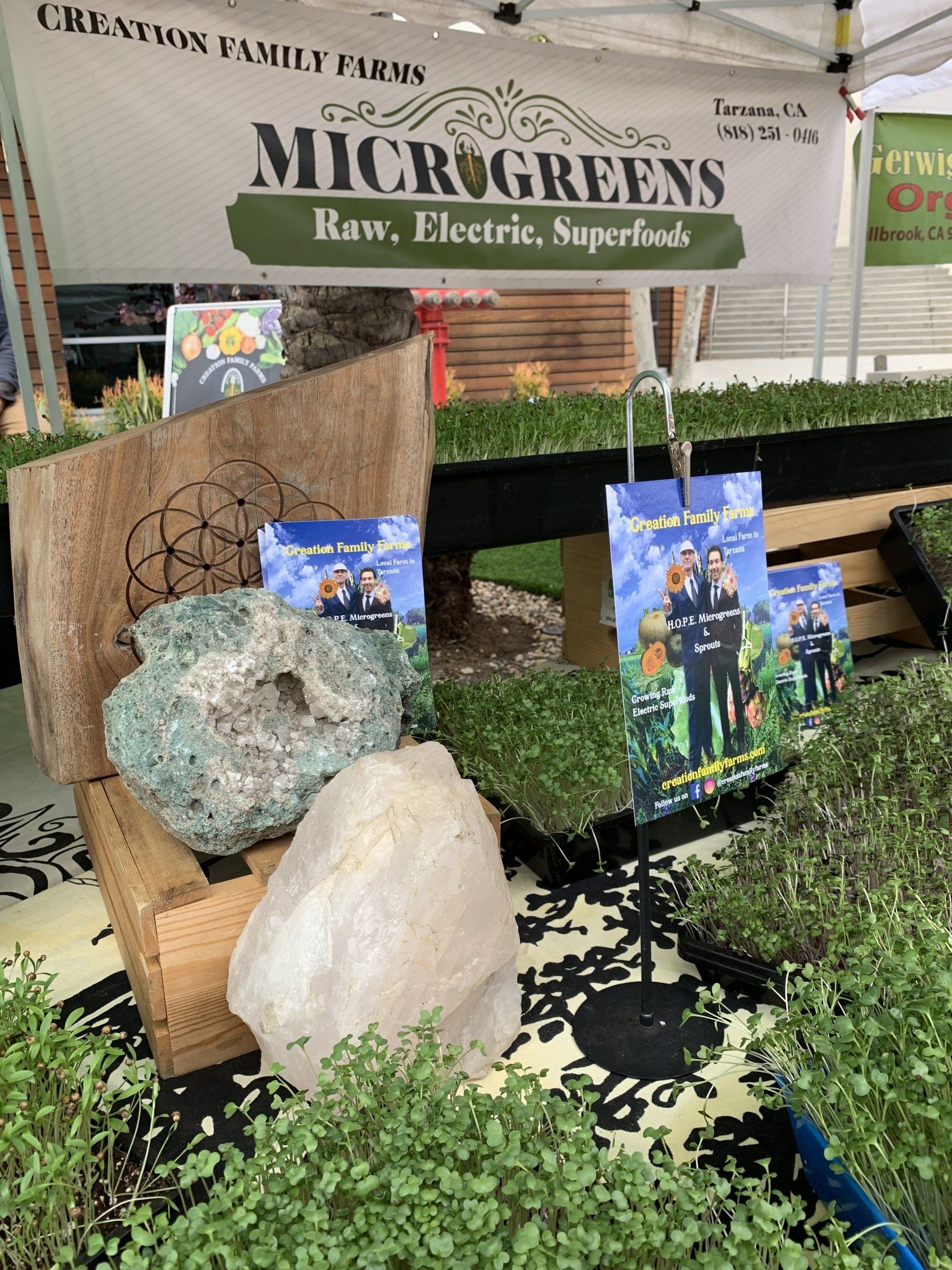 Microgreens vendor display at a market. Banner reads 