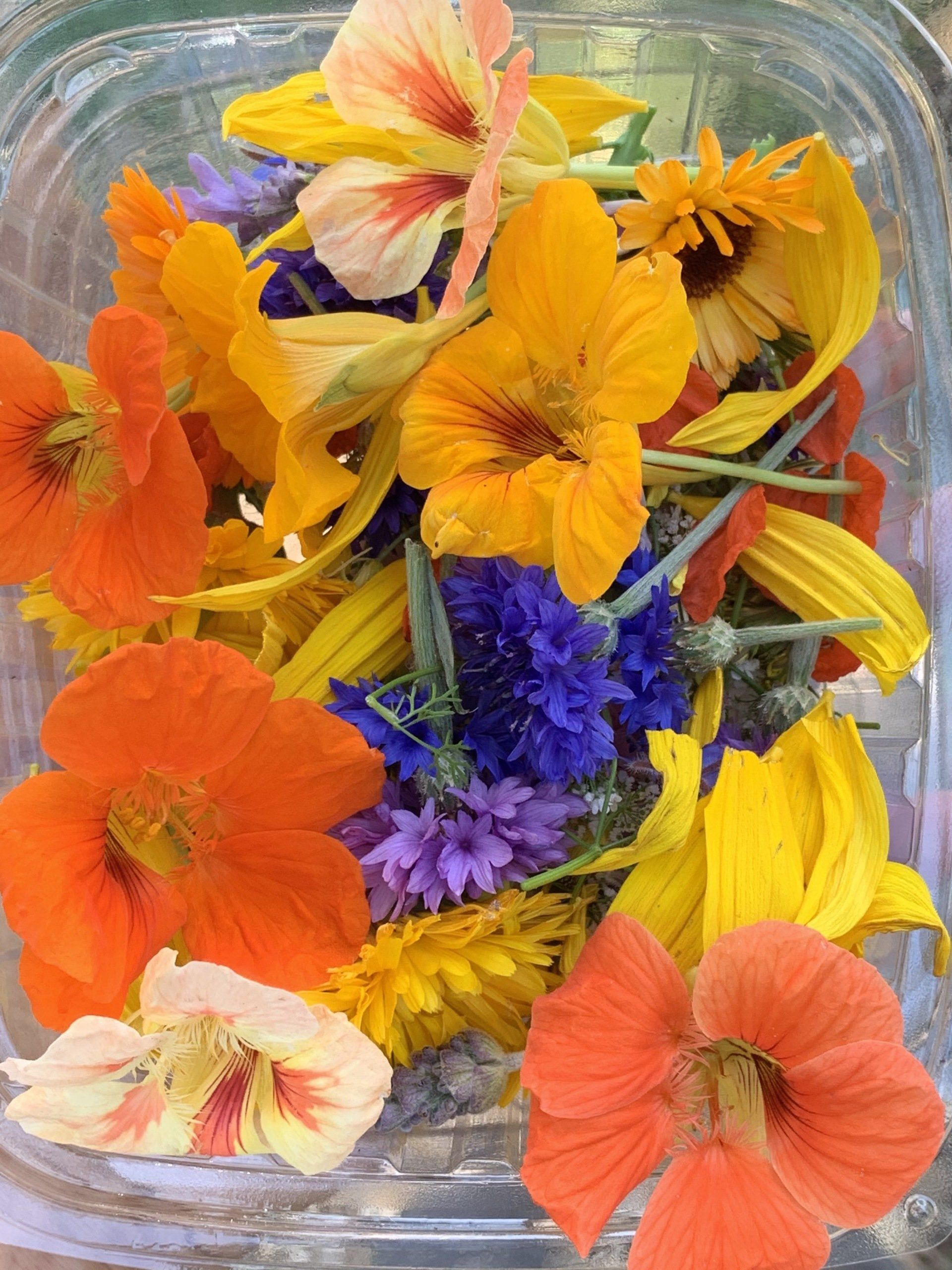 Assortment of colorful edible flowers in a clear container; orange, yellow, and purple hues.