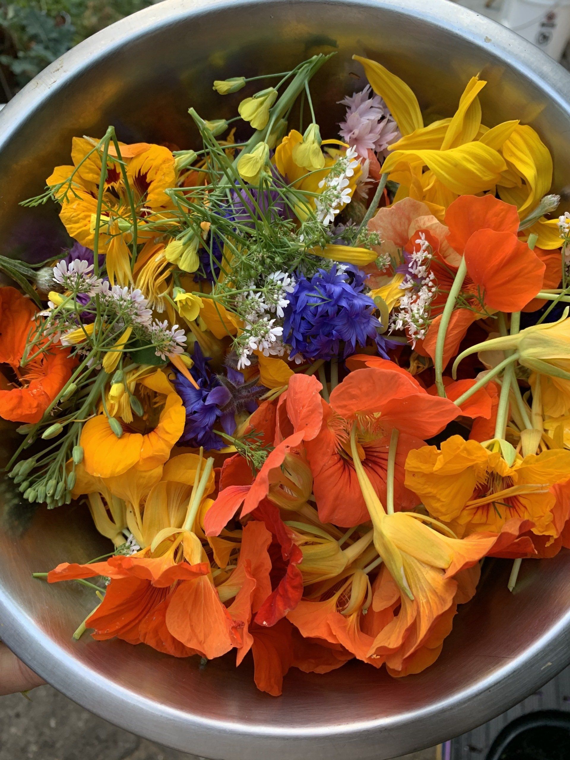 Bowl of colorful edible flowers: orange, yellow, blue, and white.