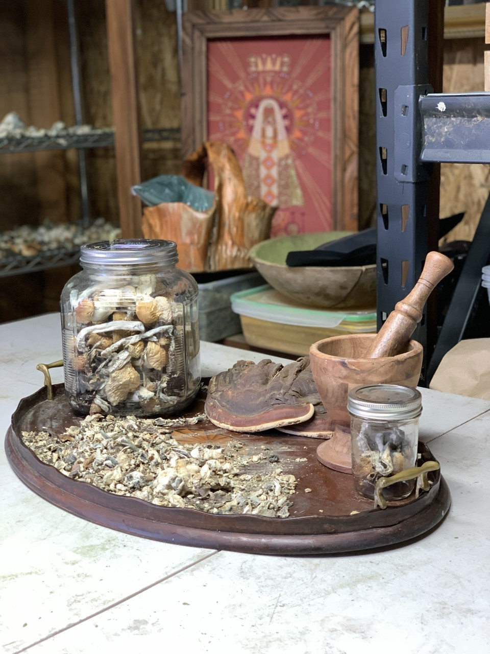 Still life: mushrooms in jars, mortar and pestle, tray, with art, in a lab setting.