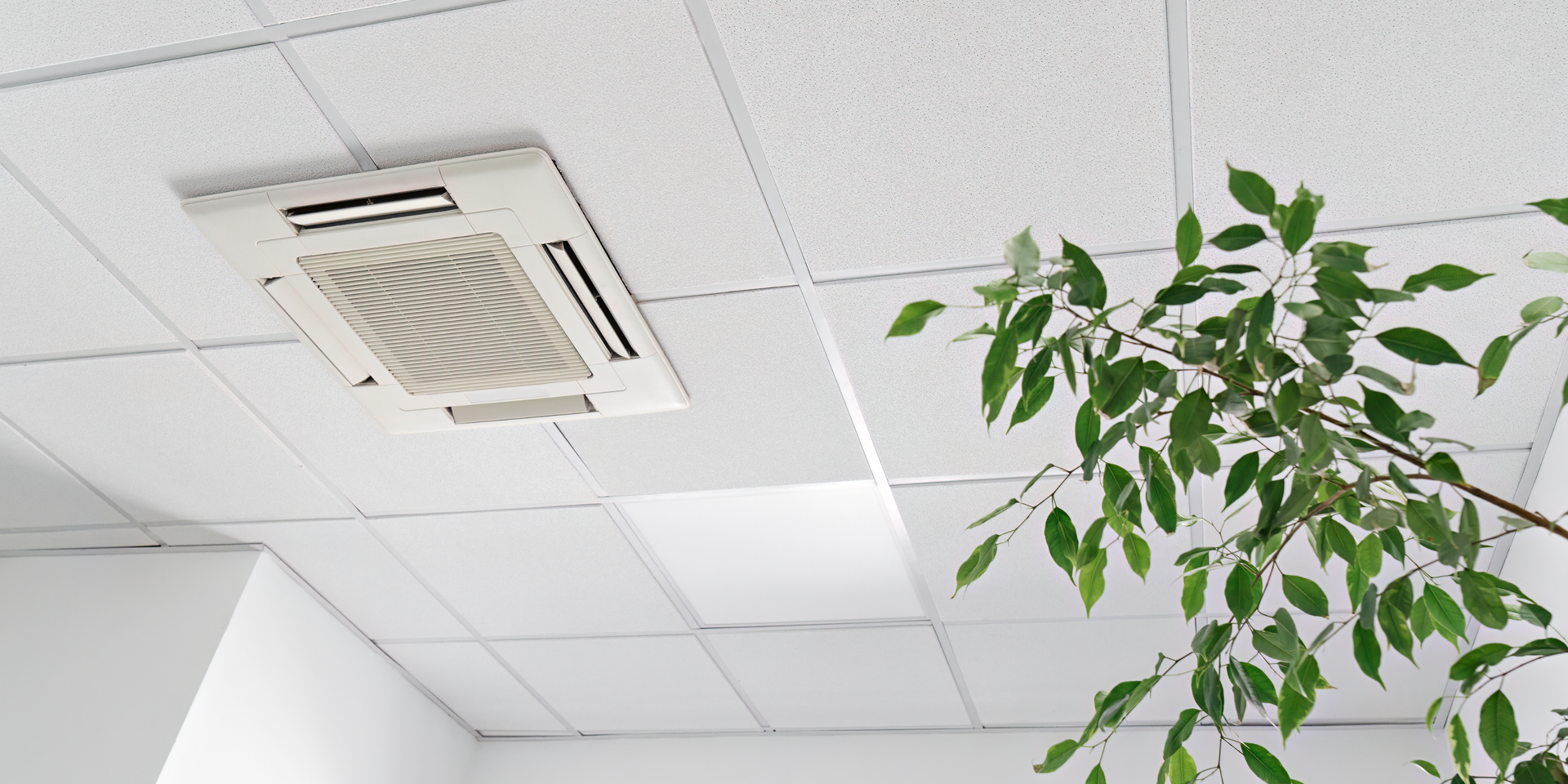 Air conditioner mounted in a white ceiling with a plant in the corner of the room.