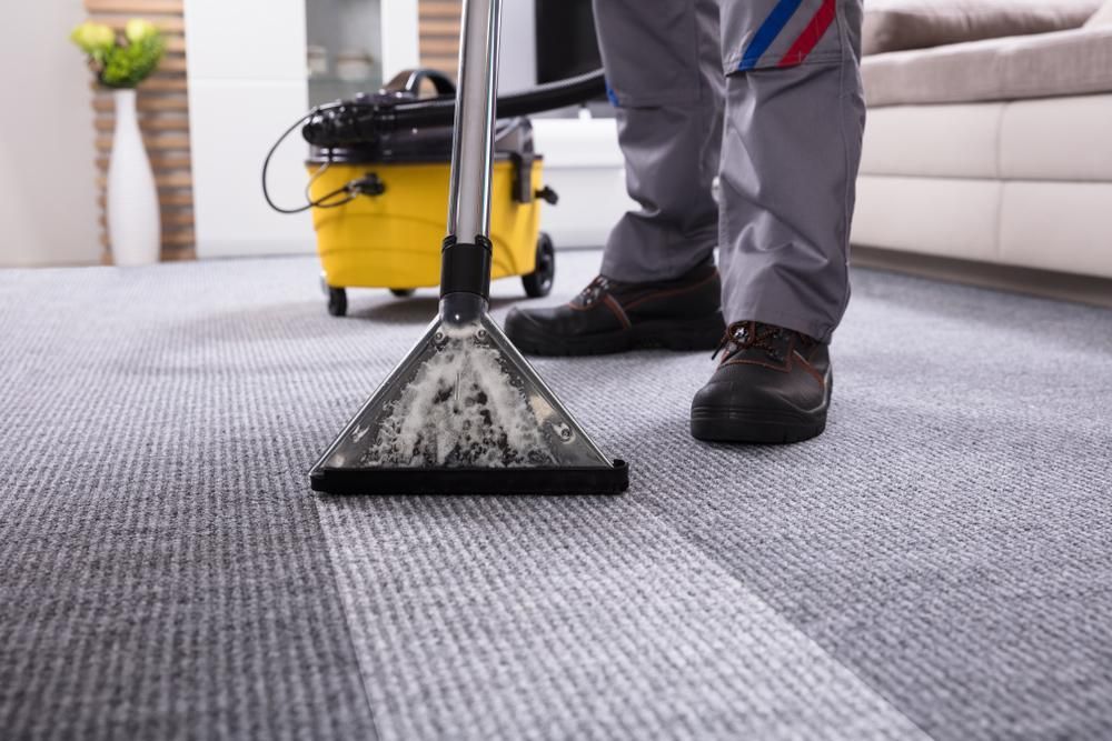 A Person is Cleaning a Carpet With a Vacuum Cleaner — Great Lakes Carpet Cleaning & Restoration In Taree, NSW