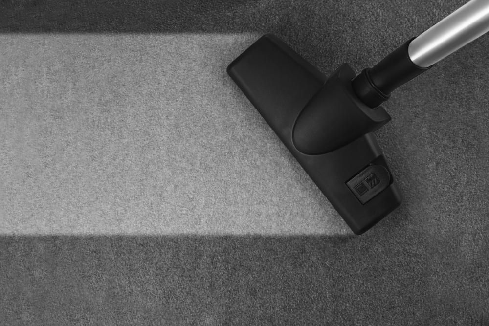 A Black and White Photo of a Vacuum Cleaner Cleaning a Carpet — Great Lakes Carpet Cleaning & Restoration In Pacific Palms, NSW