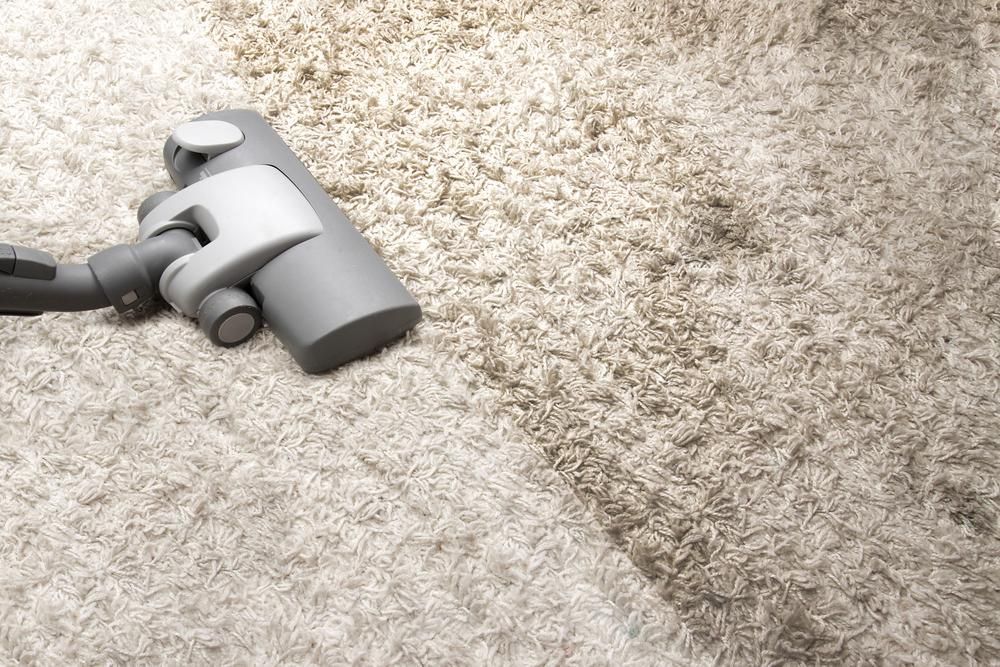 A Vacuum Cleaner is Being Used to Clean a Carpet — Great Lakes Carpet Cleaning & Restoration In Harrington, NSW