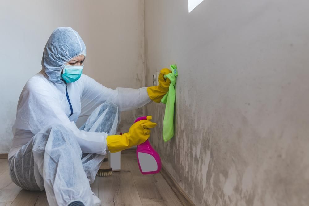 A Person in a Protective Suit is Cleaning a Wall With a Spray Bottle and a Cloth — Great Lakes Carpet Cleaning & Restoration In Gloucester, NSW