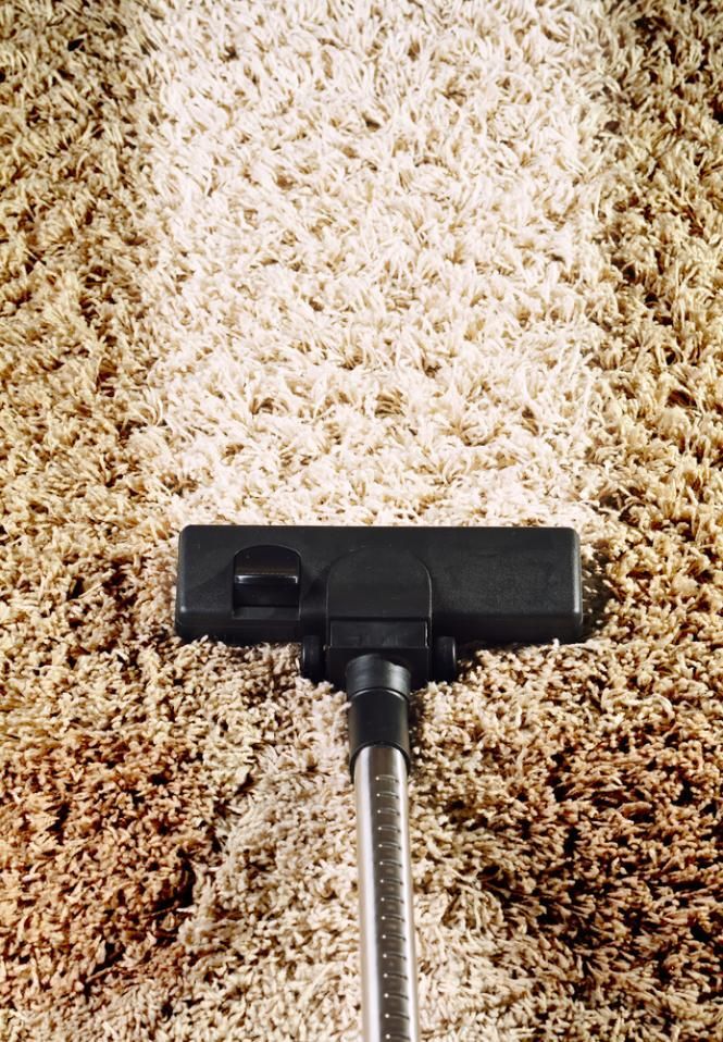 A Vacuum Cleaner is Being Used to Clean a Carpet — Great Lakes Carpet Cleaning & Restoration In Harrington, NSW