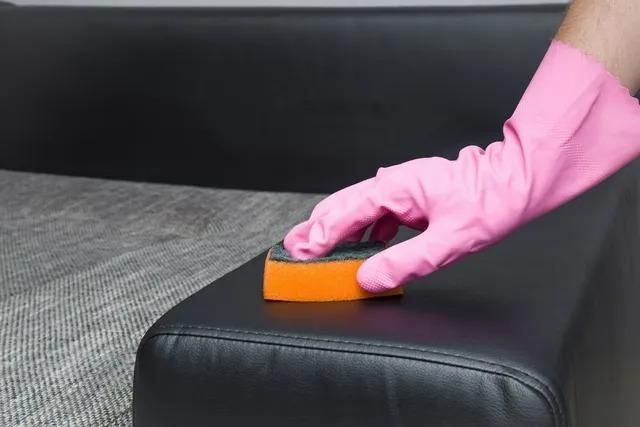 A Person Wearing Pink Gloves is Cleaning a Couch With a Sponge — Great Lakes Carpet Cleaning & Restoration In Hallidays Point, NSW