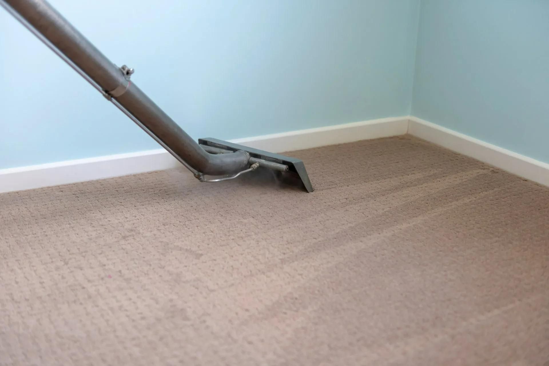 A Vacuum Cleaner is Cleaning a Carpet in a Room — Great Lakes Carpet Cleaning & Restoration In Mid North Coast, NSW