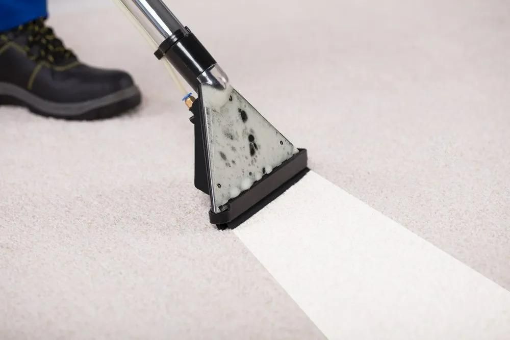 A Person is Cleaning a Carpet With a Vacuum Cleaner — Great Lakes Carpet Cleaning & Restoration In Forster, NSW