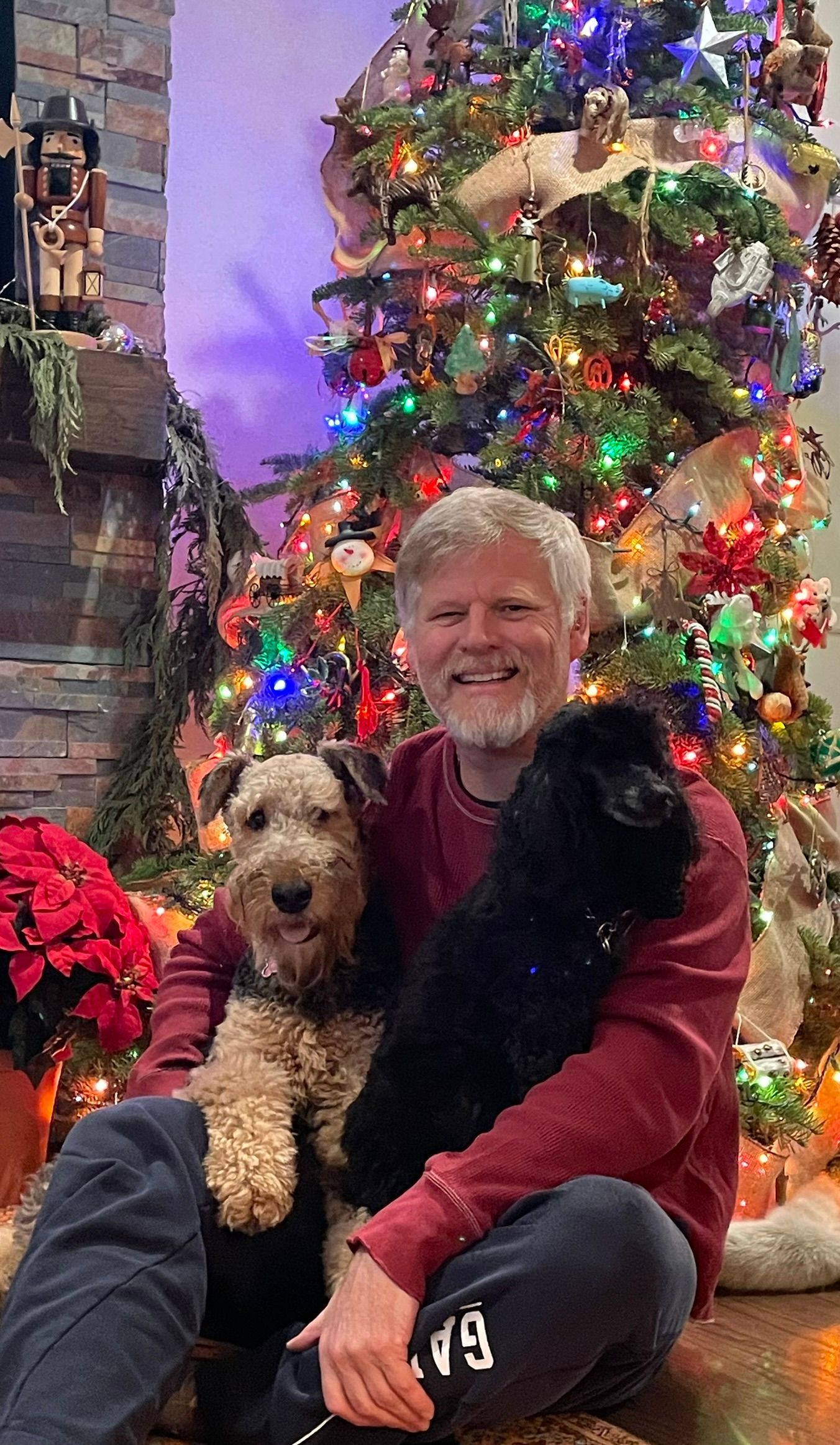 Darrell and his dogs Nizhoni and Bella sitting in front of a christmas tree