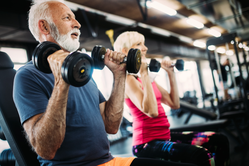 A senior man and woman lifting dumbbells overhead in a gym, focused on maintaining fitness and strength.