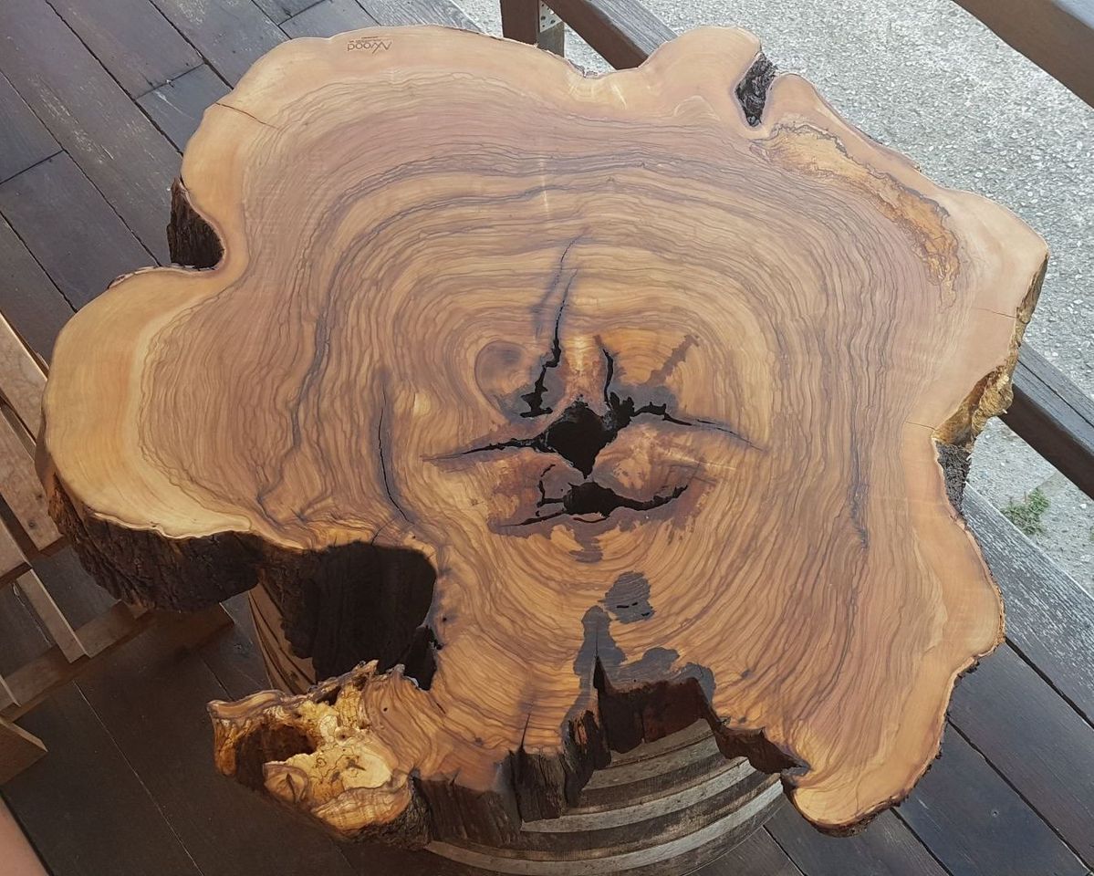 particolare tronco albero