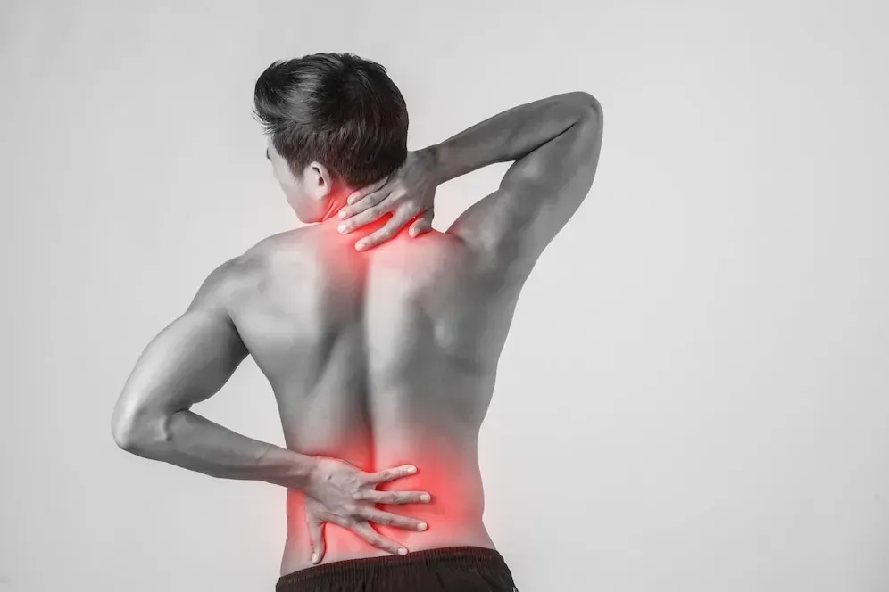 A diagram showing the difference between a chiropractor and a physical therapist
