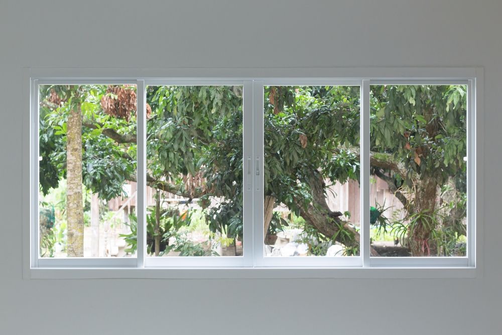 White-Framed Window With a View of Lush Green Trees — K & J Glass in Kempsey, NSW