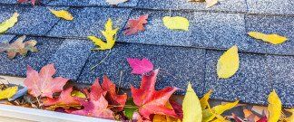 falling maple leaves on the roof