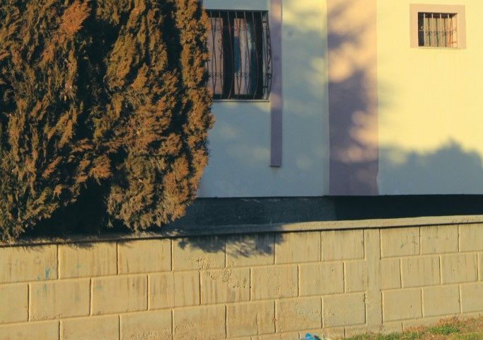 Sunlit scene of a house corner with barred windows and a textured wall.