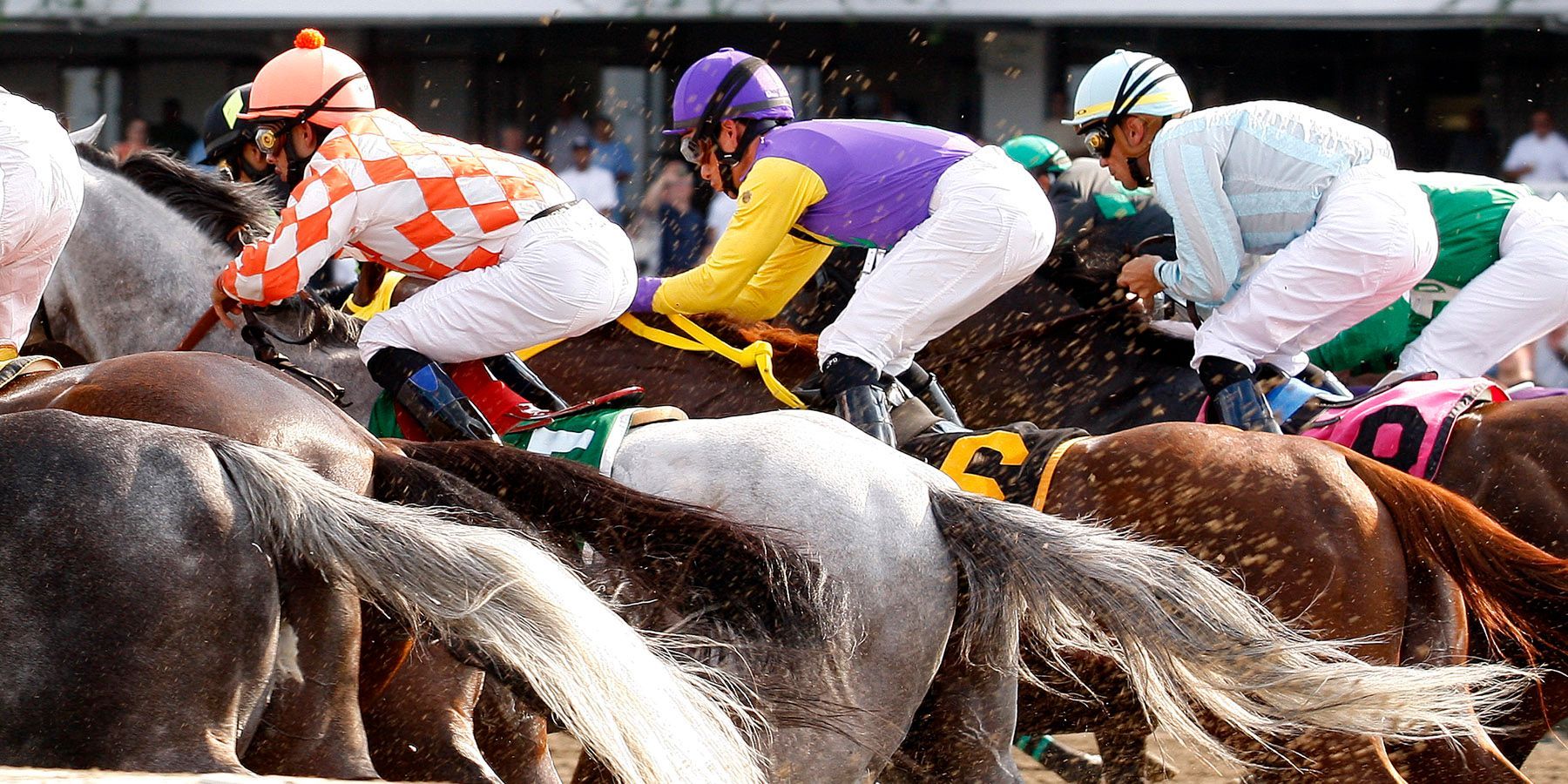 RACETRACK ACTION