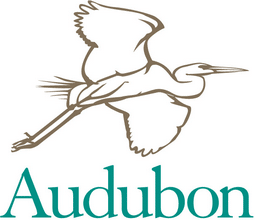 A logo for audubon shows a bird flying