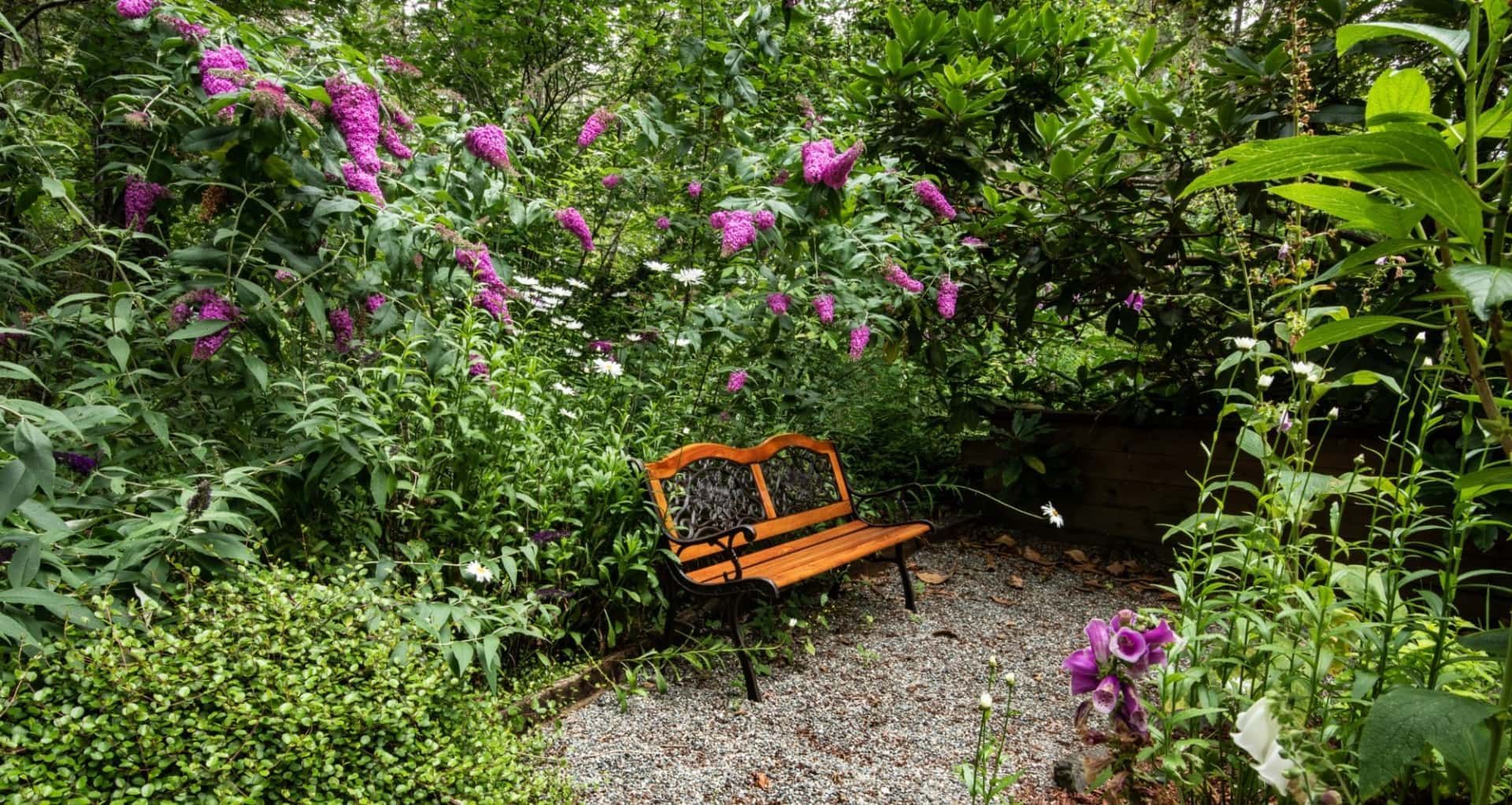 A wooden bench is sitting in the middle of a garden surrounded by purple flowers.
