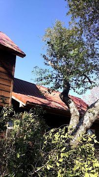 A wooden house with a red roof and a tree in front of it.