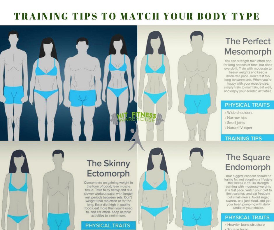 Endomorph, Mesomorph, Ectomorph Calculator  What is Your Body Type? —  Tiger Fitness