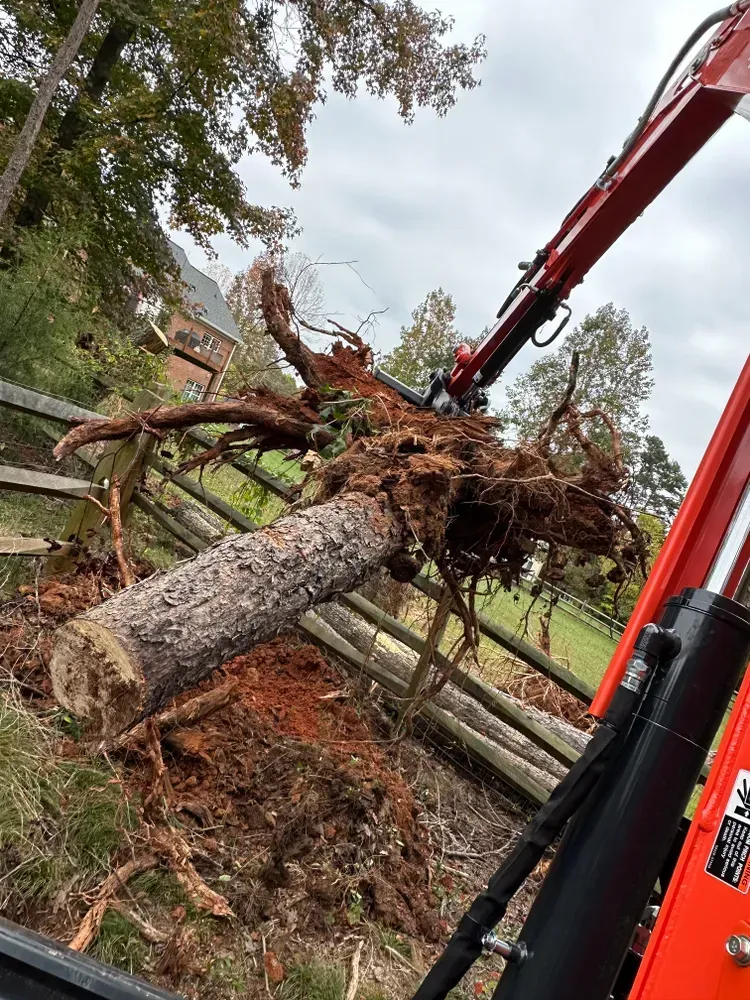 A large tree stump is being lifted by a crane.