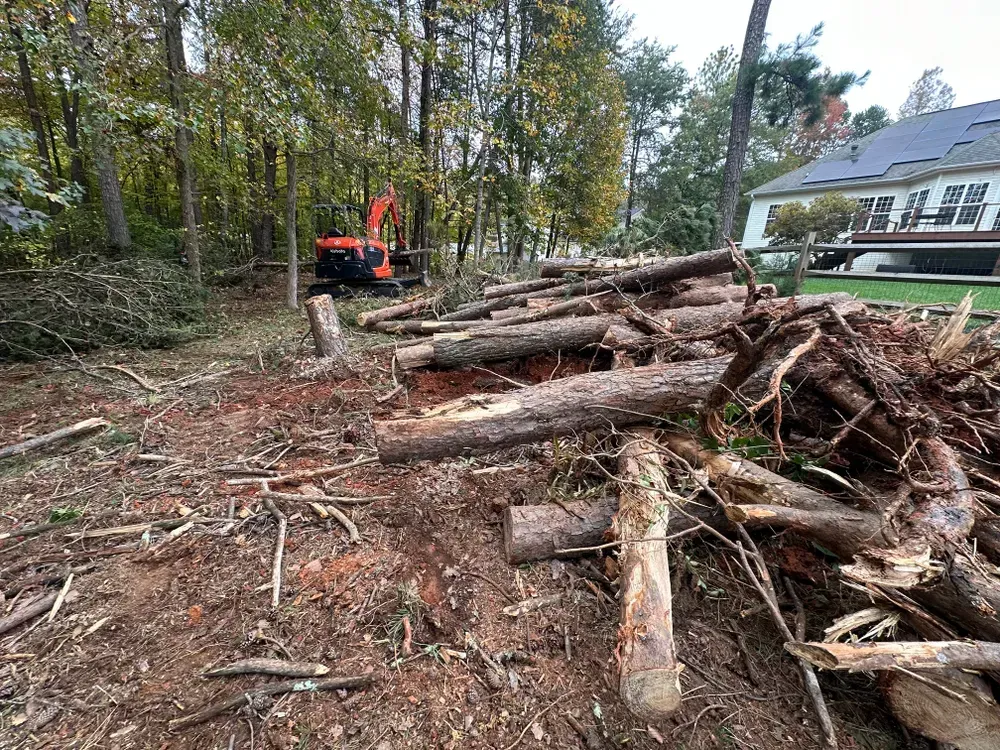 A pile of logs is sitting in the middle of a forest next to a house.
