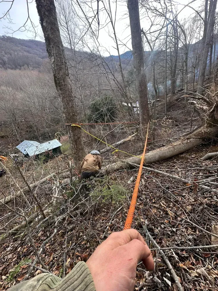 A person is holding a measuring tape in the woods.