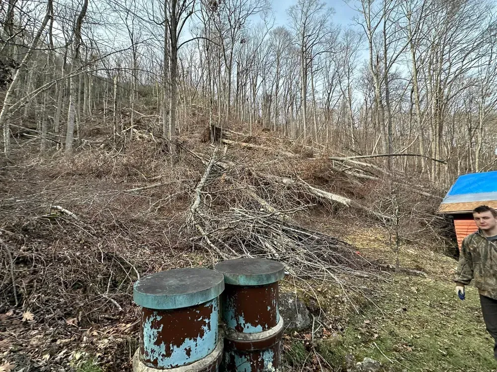 A man is standing in a field next to a pile of trees.