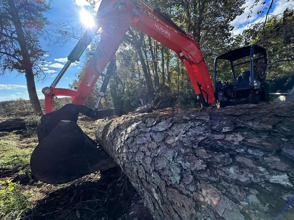 A red excavator is digging a large log in the woods.