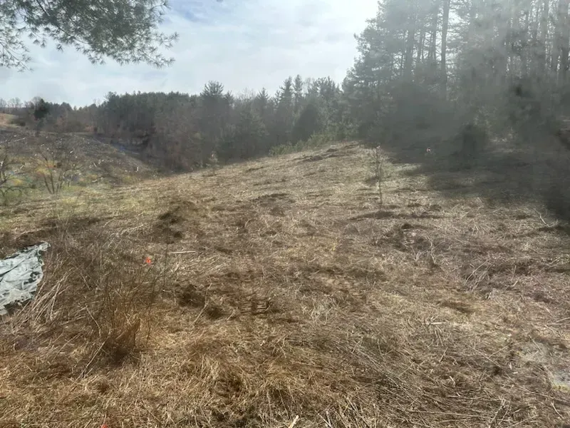 A field of dry grass with trees in the background.