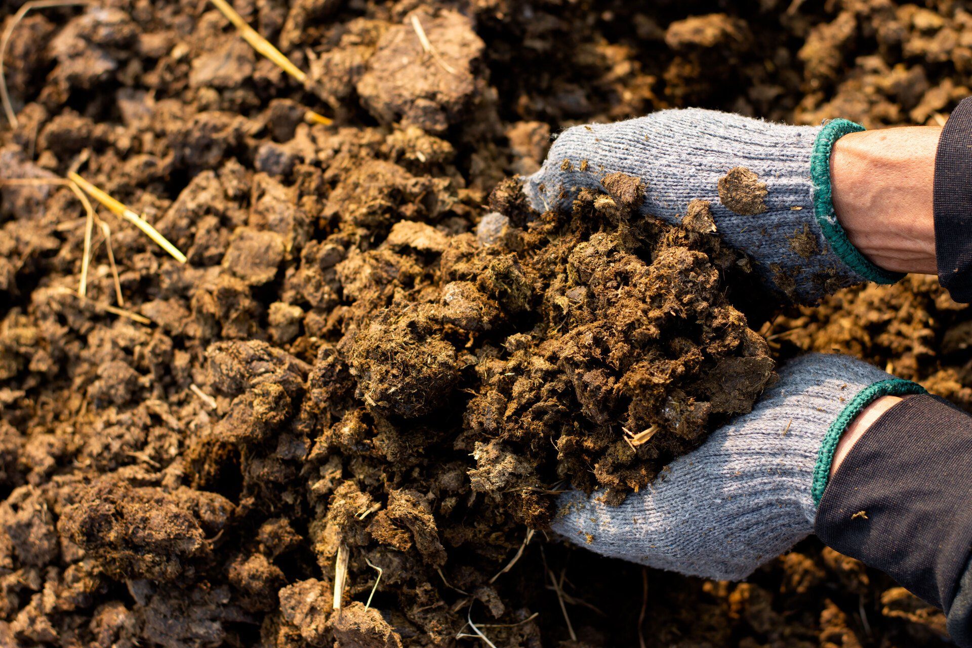 Hand of a worker holding soil