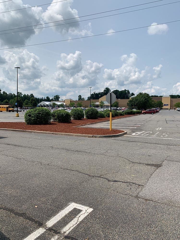 Side View of Shrubs — Pine Bush, NY — Creative Touch Landscaping & Home Improvement Inc.