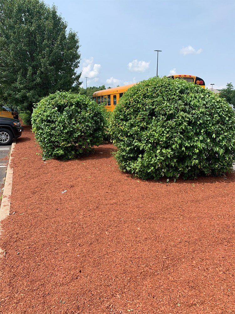 Shrubs — Pine Bush, NY — Creative Touch Landscaping & Home Improvement Inc.