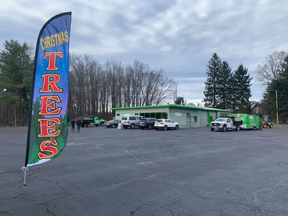 Christmas Trees — Pine Bush, NY — Creative Touch Landscaping & Home Improvement Inc.