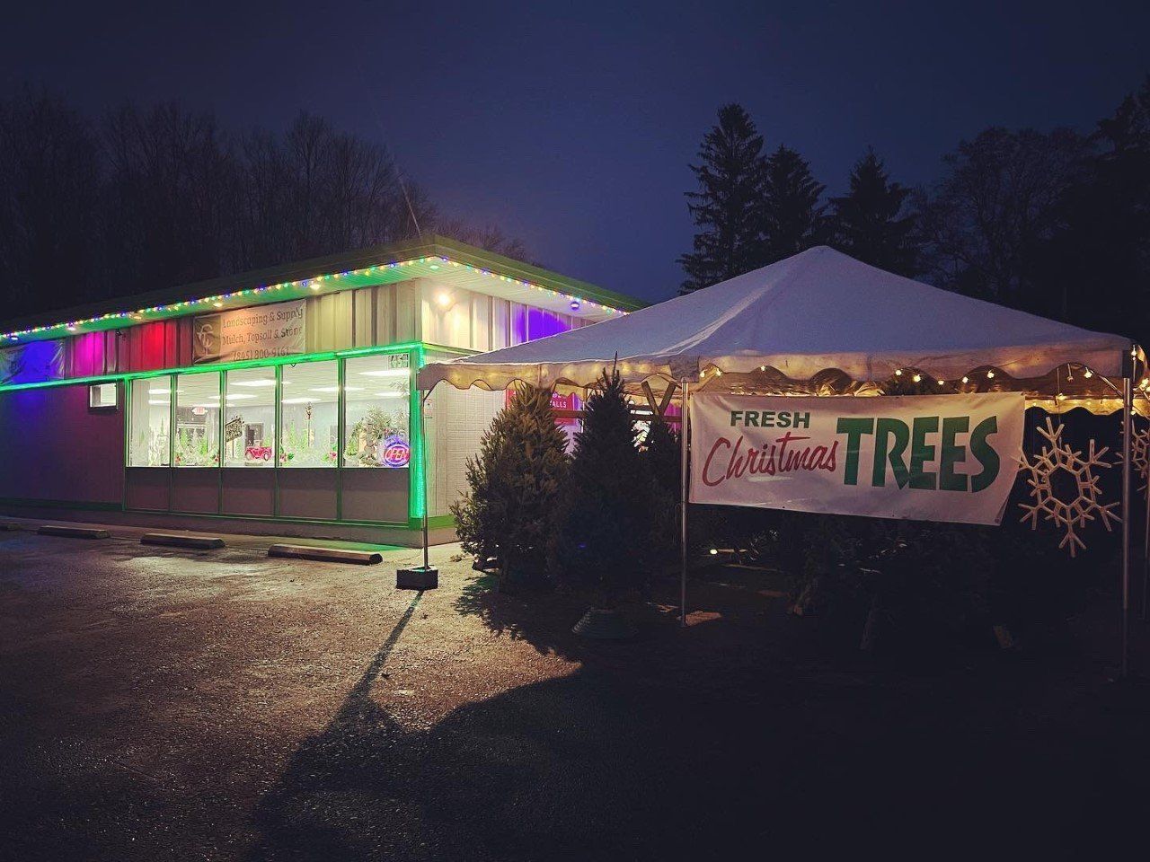 Christmas Trees and Wreaths for sale Walden, NY Creative Touch