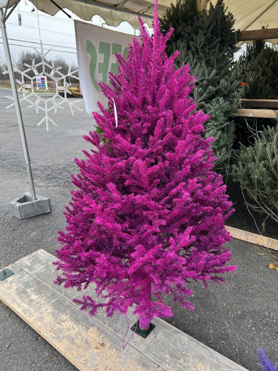 Seasonal Landscaping Walden, NY Creative Touch Landscaping & Supply